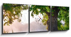 Obraz s hodinami 3D tdln - 150 x 50 cm F_BM67675896 - Oak tree in full leaf in summer standing alone
