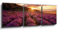 Obraz s hodinami   Stunning landscape with lavender field at sunrise, 150 x 50 cm