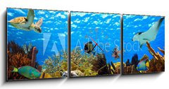 Obraz s hodinami 3D tdln - 150 x 50 cm F_BM68530036 - underwater panorama of a tropical reef in the caribbean