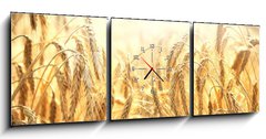 Obraz s hodinami   zboe, 150 x 50 cm