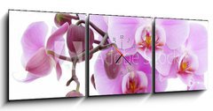 Obraz s hodinami 3D tdln - 150 x 50 cm F_BM6889647 - Violet orchid