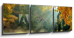 Obraz s hodinami   Beautiful autumn tree with fallen dry leaves, 150 x 50 cm