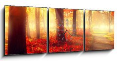 Obraz s hodinami 3D tdln - 150 x 50 cm F_BM69511191 - Fall scene. Beautiful autumnal park in sunlight