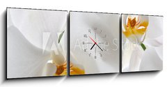 Obraz s hodinami 3D tdln - 150 x 50 cm F_BM69659288 - Detail of two orchid flowers.