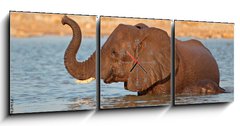 Obraz s hodinami 3D tdln - 150 x 50 cm F_BM70143412 - Elephant in water, Etosha National Park