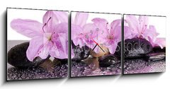 Obraz s hodinami   flowers and black stones with reflection, 150 x 50 cm