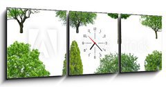 Obraz s hodinami 3D tdln - 150 x 50 cm F_BM70577212 - tree