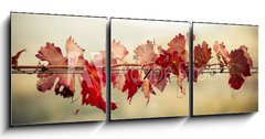 Obraz s hodinami   Foglie di vite in autunno, 150 x 50 cm