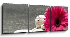 Obraz s hodinami 3D tdln - 150 x 50 cm F_BM7064186 - Gerbera pink