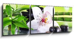 Obraz s hodinami 3D tdln - 150 x 50 cm F_BM71100540 - Spa stones, bamboo branches and white orchid