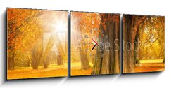 Obraz s hodinami   golden october, 150 x 50 cm