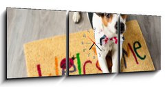 Obraz s hodinami 3D tdln - 150 x 50 cm F_BM73116832 - Cute dog posing on the carpet