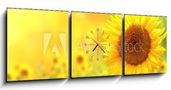 Obraz s hodinami 3D tdln - 150 x 50 cm F_BM76362209 - Sunflowers