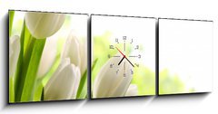 Obraz s hodinami   White Tulips, 150 x 50 cm