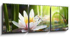 Obraz s hodinami 3D tdln - 150 x 50 cm F_BM76650282 - lotus flower