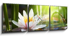 Obraz s hodinami 3D tdln - 150 x 50 cm F_BM76650282 - lotus flower - lotosov kvt