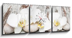 Obraz s hodinami 3D tdln - 150 x 50 cm F_BM78194063 - beautiful orchid with stones