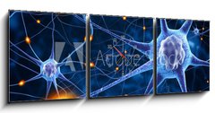 Obraz s hodinami 3D tdln - 150 x 50 cm F_BM78707112 - nerve cells - nervov buky