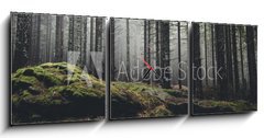 Obraz s hodinami   wilderness landscape forest with pine trees and moss on rocks, 150 x 50 cm