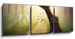 Obraz s hodinami   Forest pathway, 150 x 50 cm