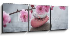 Obraz s hodinami 3D tdln - 150 x 50 cm F_BM79754664 - fleurs zen