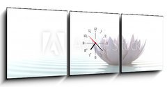 Obraz s hodinami   Zen lotus on water, 150 x 50 cm