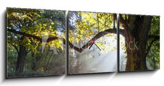 Obraz s hodinami 3D tdln - 150 x 50 cm F_BM80921295 - mighty oak tree - mocn dub