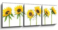 Obraz s hodinami 3D tdln - 150 x 50 cm F_BM814278 - sunflowers