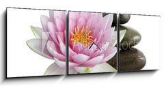 Obraz s hodinami 3D tdln - 150 x 50 cm F_BM8408992 - Fleur de lotus et galets zen