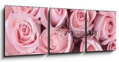Obraz s hodinami 3D třídílný - 150 x 50 cm F_BM84365543 - pink rose flower bouquet vintage background - růžová růže květ kytice vinobraní pozadí