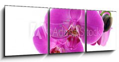Obraz s hodinami 3D tdln - 150 x 50 cm F_BM8546686 - Orchidea fiorita