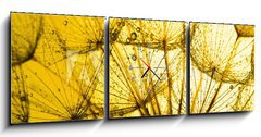 Obraz s hodinami 3D tdln - 150 x 50 cm F_BM86292092 - close up of dandelion on the golden background