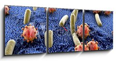 Obraz s hodinami   Bacteria and viruses on surface of skin, mucous membrane or intestine, model of MERS, HIV, flu, Escherichia coli, Salmonella, Klebsiella, Legionella, Mycobacterium tuberculosis, model of microbes, 150 x 50 cm