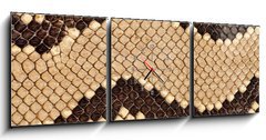 Obraz s hodinami 3D tdln - 150 x 50 cm F_BM90620338 - Snake skin.