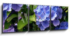 Obraz s hodinami 3D tdln - 150 x 50 cm F_BM9180840 - hortensia