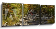 Obraz s hodinami 3D tdln - 150 x 50 cm F_BM93409854 - The Baker River flows through fall foliage, Warren, New Hampshir