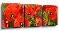 Obraz s hodinami 3D tdln - 150 x 50 cm F_BM95383540 - Poppies