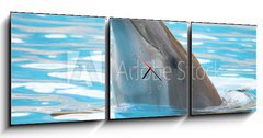 Obraz s hodinami 3D tdln - 150 x 50 cm F_BM95423 - delfn