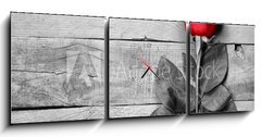 Obraz s hodinami 3D tdln - 150 x 50 cm F_BM95876705 - Red rose on black and white wooden background