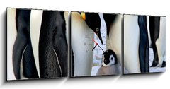 Obraz s hodinami 3D tdln - 150 x 50 cm F_BM9651364 - Emperor penguins with chick - Csa tuci s kutkem