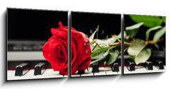 Obraz s hodinami 3D tdln - 150 x 50 cm F_BM98331602 - piano keys and red rose - klavrn kle a erven re