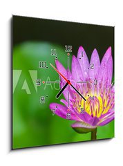 Obraz s hodinami 1D - 50 x 50 cm F_F100962988 - Beautiful lotus bloom bright