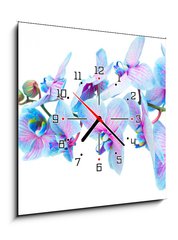 Obraz s hodinami   stem of blue orchids, 50 x 50 cm