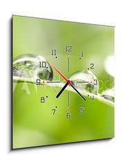 Obraz s hodinami   drops with green grass, 50 x 50 cm