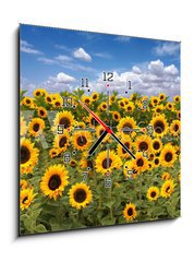 Obraz s hodinami 1D - 50 x 50 cm F_F10725175 - Sunflower Farmland With Blue Cloudy Sky
