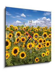 Obraz s hodinami 1D - 50 x 50 cm F_F10725175 - Sunflower Farmland With Blue Cloudy Sky - Slunečnice zemědělské půdy s modrou oblačno nebe