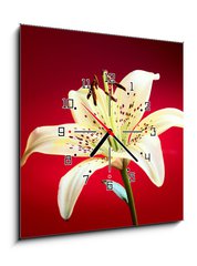 Obraz s hodinami 1D - 50 x 50 cm F_F10726288 - lily flower