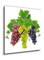 Obraz s hodinami 1D - 50 x 50 cm F_F10964464 - Three fresh grapes - Ti erstv hrozny