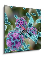 Obraz s hodinami 1D - 50 x 50 cm F_F110321094 - Bacteria and hepatitis A virus