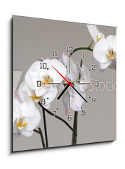 Obraz s hodinami 1D - 50 x 50 cm F_F113446694 - White Phalaenopsis orchid